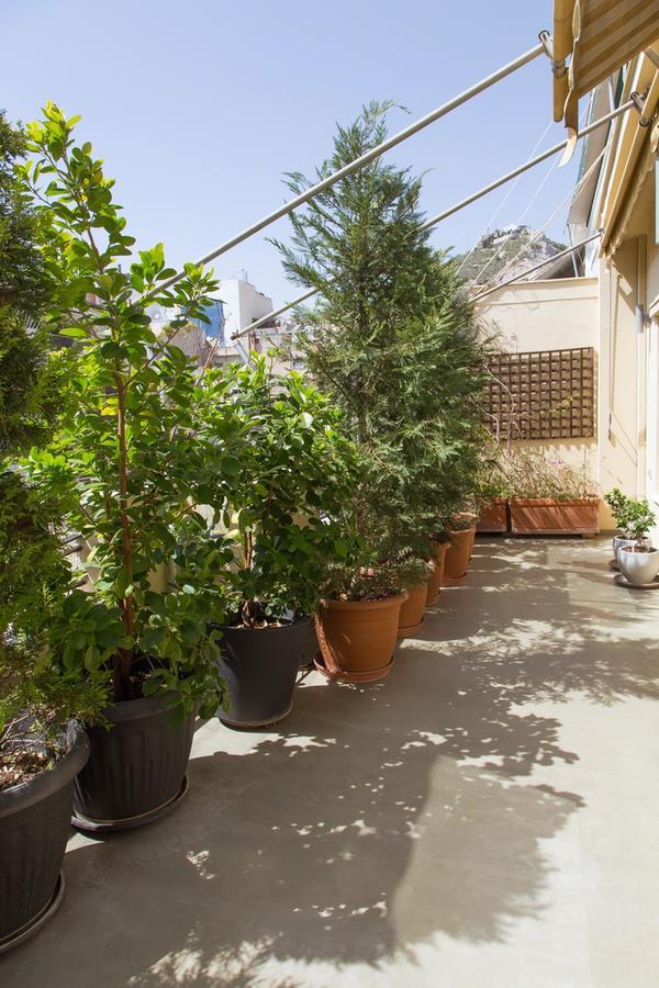 Beautiful Penthouse In Athens With Outside Jacuzzi Apartment ภายนอก รูปภาพ